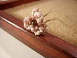 サクラサクかんざし